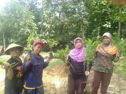 PENANAMAN SAYUR - SAYURAN DAN  PENANAMAN REMPAH-REMPAH